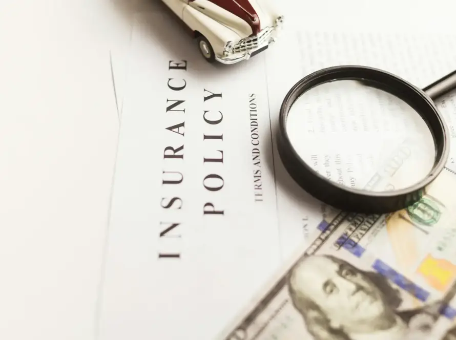 A magnifying glass, a toy car, and a $100 bill on an insurance policy document, symbolizing Gaia in Love's commitment to adhering to global adult toy safety regulations and quality standards.